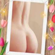 ヒメ日記 2025/11/04 07:46 投稿 香奈 素人妻達☆マイふぇらレディー