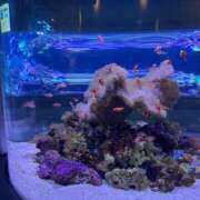 ヒメ日記 2025/03/30 10:35 投稿 まみ 佐賀人妻デリヘル 「デリ夫人」