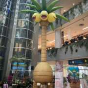 ヒメ日記 2025/05/26 18:57 投稿 まみ 佐賀人妻デリヘル 「デリ夫人」