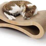 ヒメ日記 2025/10/18 21:57 投稿 まみ 佐賀人妻デリヘル 「デリ夫人」