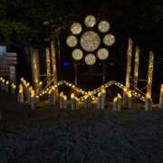 ヒメ日記 2025/11/23 11:04 投稿 まみ 佐賀人妻デリヘル 「デリ夫人」