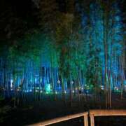 ヒメ日記 2025/12/05 19:07 投稿 まみ 佐賀人妻デリヘル 「デリ夫人」