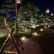 まみ ｺﾝﾆﾁﾜฅ(^ω^ฅ) 佐賀人妻デリヘル 「デリ夫人」