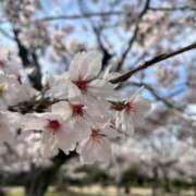 ヒメ日記 2026/04/15 19:08 投稿 まみ 佐賀人妻デリヘル 「デリ夫人」