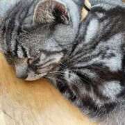 ヒメ日記 2026/03/10 11:44 投稿 ゆき 熟女の風俗最終章 仙台店