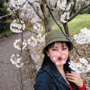 ヒメ日記 2026/04/11 21:36 投稿 夜桜 熟女の風俗最終章 新横浜店