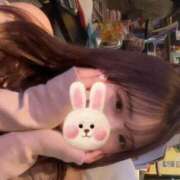 ヒメ日記 2025/02/15 12:50 投稿 ゆあ ミスキャンパス