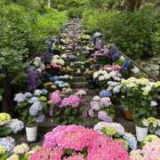 ヒメ日記 2025/05/26 19:19 投稿 エロ×2インパクト グッドスマイル