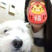 ヒメ日記 2024/12/30 21:27 投稿 おいでやす『Ｉ』でやす♡ グッドスマイル