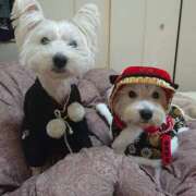 ヒメ日記 2025/01/01 11:28 投稿 おいでやす『Ｉ』でやす♡ グッドスマイル