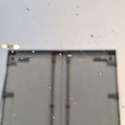 ヒメ日記 2025/01/15 16:32 投稿 おいでやす『Ｉ』でやす♡ グッドスマイル