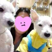 ヒメ日記 2025/01/16 20:08 投稿 おいでやす『Ｉ』でやす♡ グッドスマイル