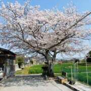 ヒメ日記 2025/04/17 08:04 投稿 おいでやす『Ｉ』でやす♡ グッドスマイル