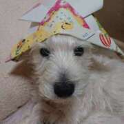 ヒメ日記 2025/05/05 17:19 投稿 おいでやす『Ｉ』でやす♡ グッドスマイル