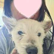 ヒメ日記 2025/06/19 16:53 投稿 おいでやす『Ｉ』でやす♡ グッドスマイル