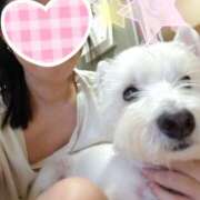 ヒメ日記 2025/07/15 08:31 投稿 おいでやす『Ｉ』でやす♡ グッドスマイル