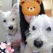 ヒメ日記 2025/08/16 14:45 投稿 おいでやす『Ｉ』でやす♡ グッドスマイル