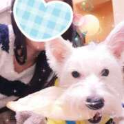 ヒメ日記 2026/05/02 01:17 投稿 おいでやす『Ｉ』でやす♡ グッドスマイル
