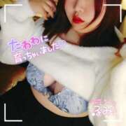 ヒメ日記 2024/12/11 07:31 投稿 るみ 京都祇園・南インターちゃんこ