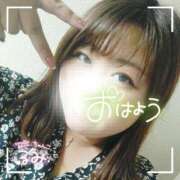 ヒメ日記 2024/12/24 06:15 投稿 るみ 京都祇園・南インターちゃんこ