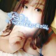 ヒメ日記 2025/03/30 06:39 投稿 るみ 京都祇園・南インターちゃんこ