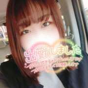 ヒメ日記 2025/04/07 09:53 投稿 るみ 京都祇園・南インターちゃんこ