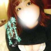 ヒメ日記 2025/04/07 11:45 投稿 るみ 京都祇園・南インターちゃんこ