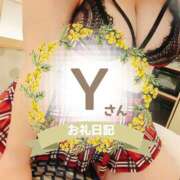 ヒメ日記 2025/04/08 11:00 投稿 るみ 京都祇園・南インターちゃんこ