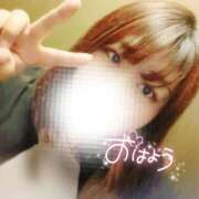 ヒメ日記 2025/04/09 08:03 投稿 るみ 京都祇園・南インターちゃんこ