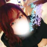 ヒメ日記 2025/04/09 10:15 投稿 るみ 京都祇園・南インターちゃんこ