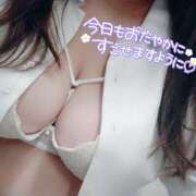 ヒメ日記 2025/04/10 09:13 投稿 るみ 京都祇園・南インターちゃんこ