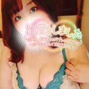 ヒメ日記 2025/04/12 09:45 投稿 るみ 京都祇園・南インターちゃんこ