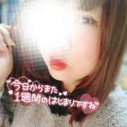 ヒメ日記 2025/04/14 11:45 投稿 るみ 京都祇園・南インターちゃんこ