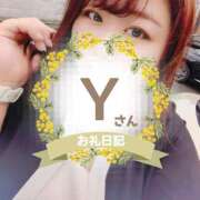 ヒメ日記 2025/06/03 08:45 投稿 るみ 京都祇園・南インターちゃんこ