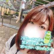 ヒメ日記 2025/06/19 16:30 投稿 るみ 京都祇園・南インターちゃんこ