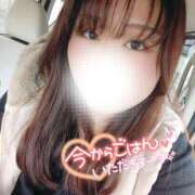 ヒメ日記 2026/04/01 13:26 投稿 るみ 京都祇園・南インターちゃんこ