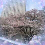 ヒメ日記 2025/03/24 07:54 投稿 あかり 横浜人妻花壇本店