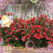 ヒメ日記 2025/04/07 13:36 投稿 あかり 横浜人妻花壇本店