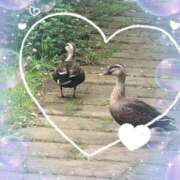 ヒメ日記 2025/06/01 15:29 投稿 あかり 横浜人妻花壇本店