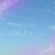 ヒメ日記 2025/11/18 17:55 投稿 あかり 横浜人妻花壇本店