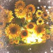 あかり ヽ(*＾ω＾*)ﾉ★ 横浜人妻花壇本店