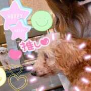 ヒメ日記 2026/01/05 17:47 投稿 あかり 横浜人妻花壇本店