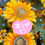 ヒメ日記 2026/08/01 16:59 投稿 あかり 横浜人妻花壇本店