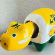 ヒメ日記 2025/02/19 15:31 投稿 ルイ ラブコレクション