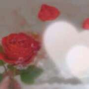 ヒメ日記 2025/02/25 19:16 投稿 ルイ ラブコレクション