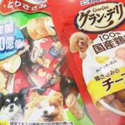 ヒメ日記 2025/03/30 15:31 投稿 ルイ ラブコレクション