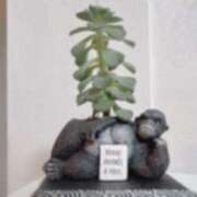 ヒメ日記 2025/04/24 14:31 投稿 ルイ ラブコレクション