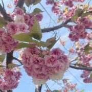 ヒメ日記 2025/05/10 13:31 投稿 ルイ ラブコレクション