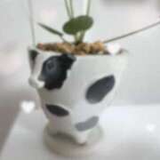 ヒメ日記 2025/07/21 05:01 投稿 ルイ ラブコレクション