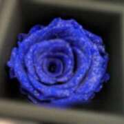 ヒメ日記 2025/10/02 05:01 投稿 ルイ ラブコレクション